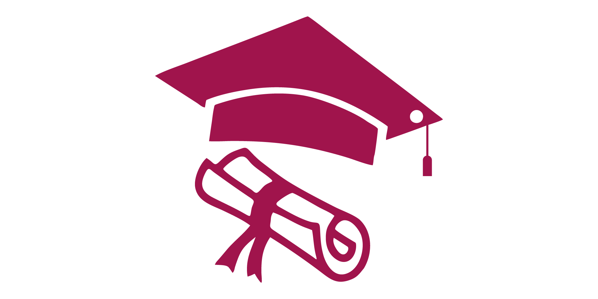 University Program